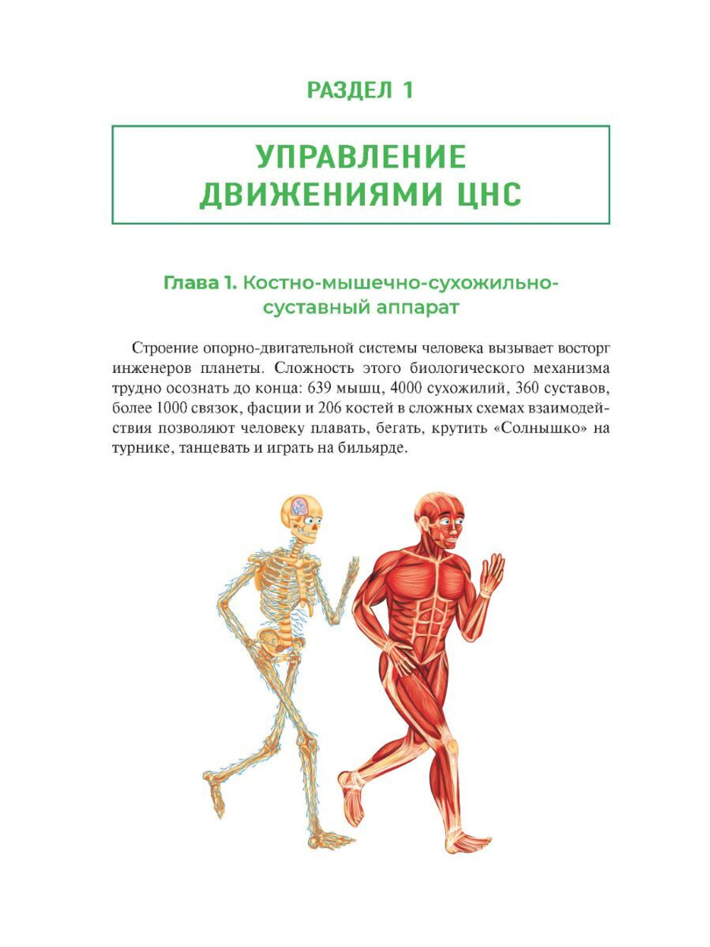 Нейробильярд. Как совершать идеально точные удары не задумываясь