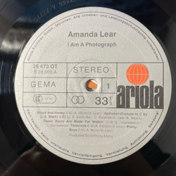 Винтажная виниловая пластинка LP Amanda Lear, I Am A Photograph (Германия 1977) (С Плакатом)