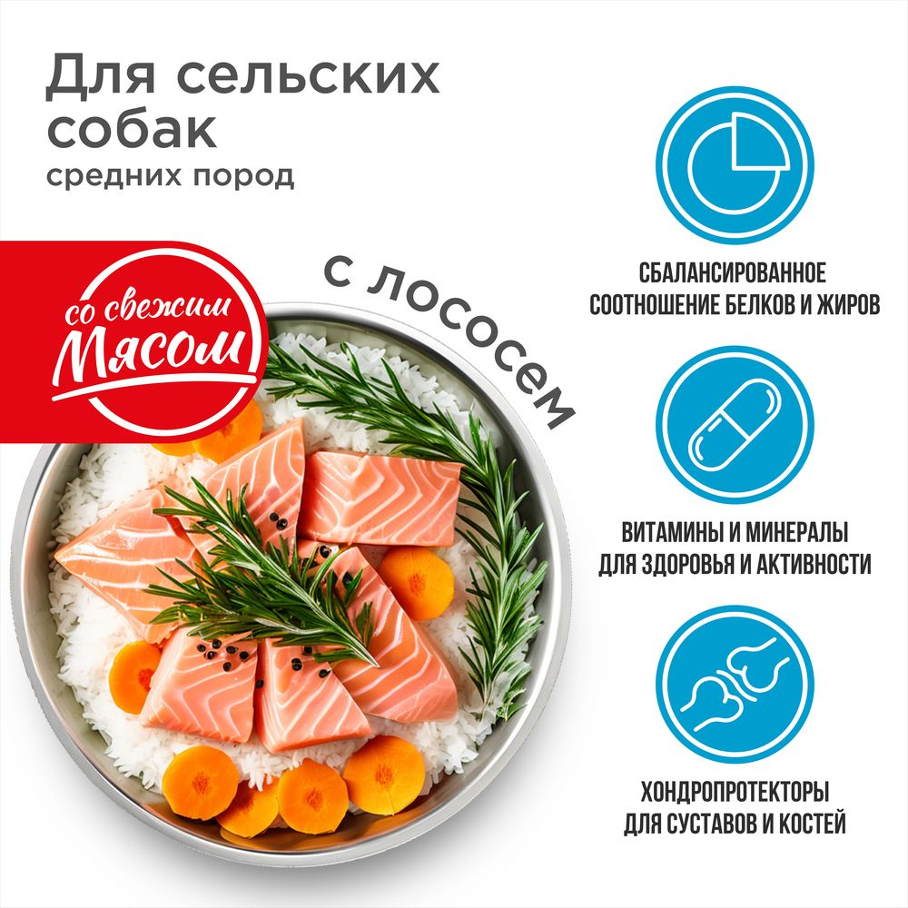 Корм сухой для взрослых собак средних пород, премиум полнорационный комплекс, для живущих в сельской местности, с лососем, 2,5 кг, QUATTRO