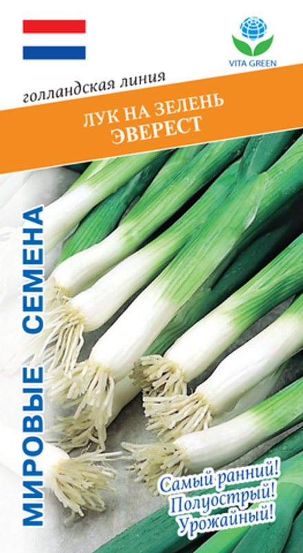 Лук на зелень Эверест 0,5г Мировые Семена VITA GREEN