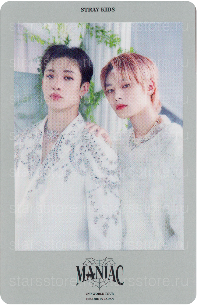 Фотокарта Bang Chan & I.N Stray Kids "MANIAC ENCORE" (B ver) Фотокарта Bang Chan & I.N Stray Kids "MANIAC ENCORE" (B ver)
