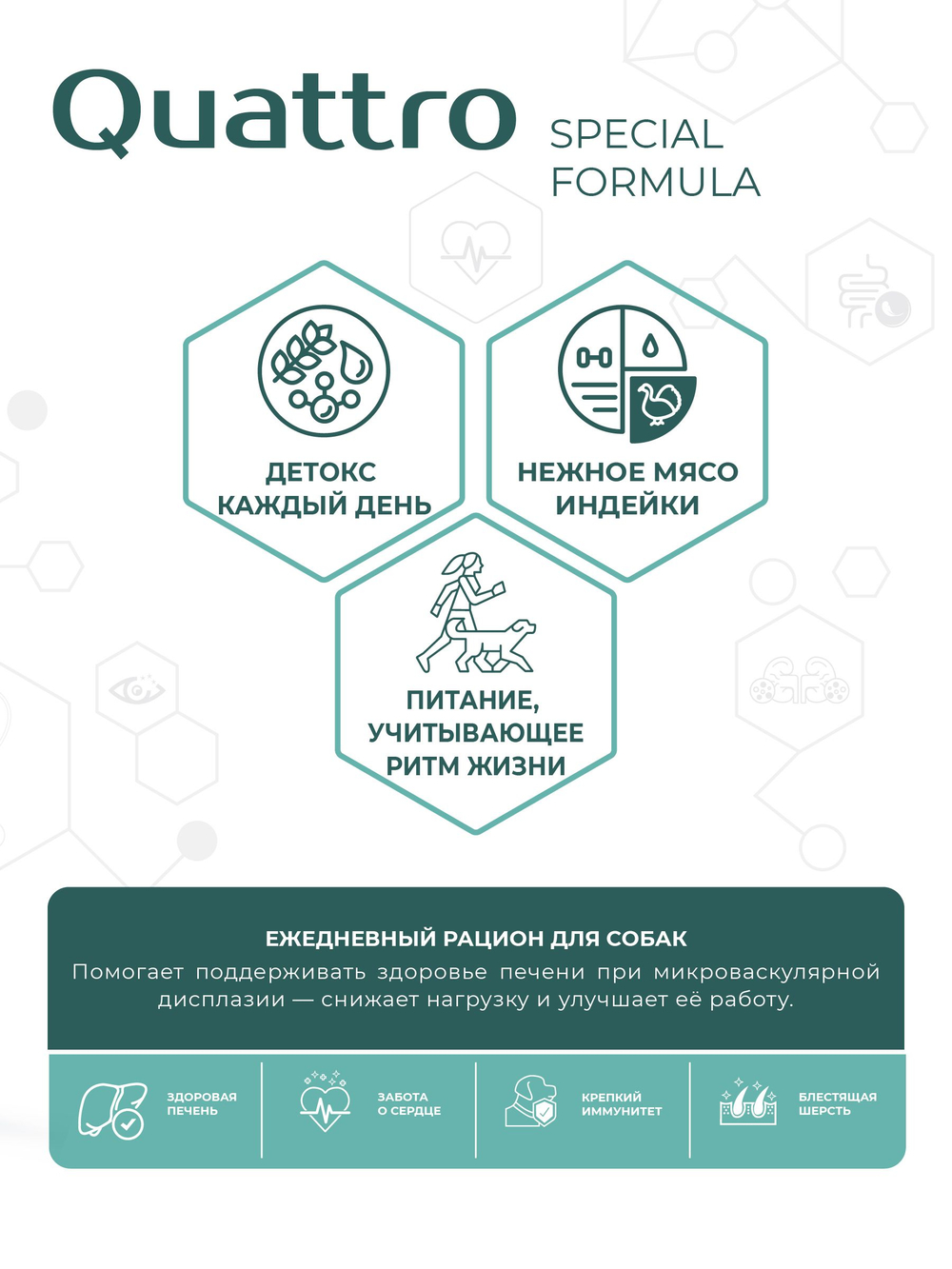 Корм для собак средних и крупных пород SF Hepato Microbalance, (микроваскулярная дисплазия печени), 3 кг, QUATTRO