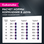 Корм сухой Eukanuba Kitten Healthy Start для котят от 1 до 12 месяцев сбалансированный, 5 кг