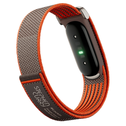 Фитнес-браслет Google Fitbit Air