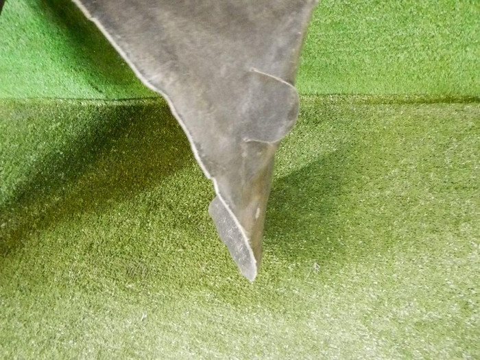 DSCN8203.jpg