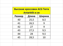 Высокие кроссовки "ACG Terra Antarktik"