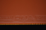 Stiga DNA Dragon Grip