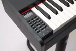 Pierre Cesar DP-121-H