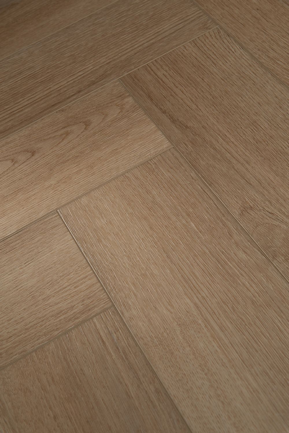 Strong Step Ideal Wien, 1,588 м²