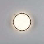Накладной светодиодный светильник Lightstar ACUTO 215947