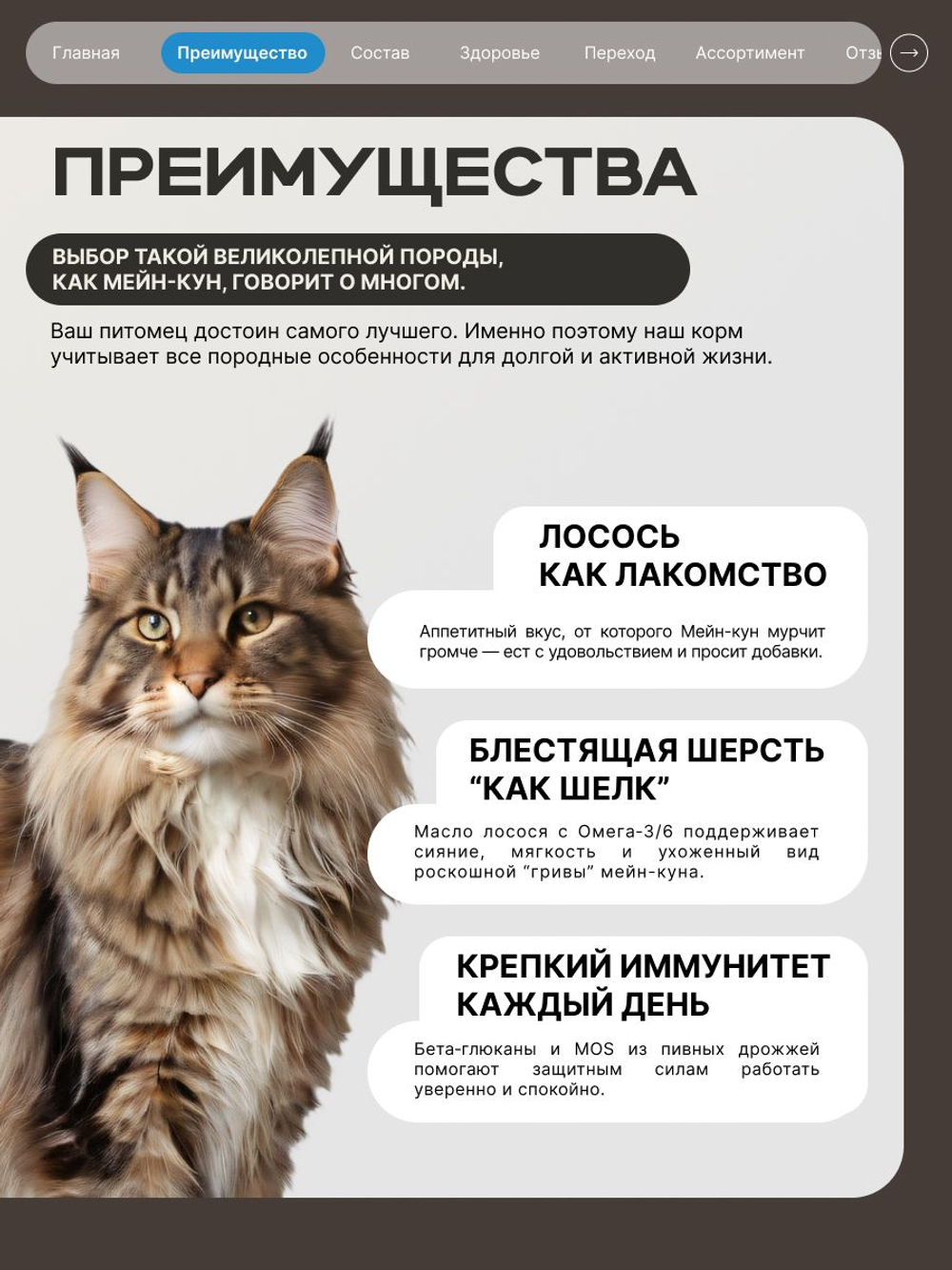 Корм сухой для взрослых стерилизованных кошек породы Мейн-кун, полнорационный комплекс, с лососем, 400 гр, QUATTRO