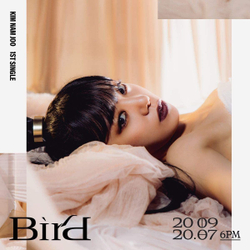 Альбом Kim Namjoo (Apink) - Bird 1st Single Album
