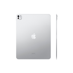 iPad Pro 13 2 ТБ WiFi + Cellular (M4, 2024)