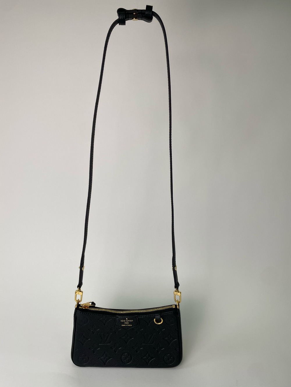 Сумка Louis Vuitton Easy Pouch