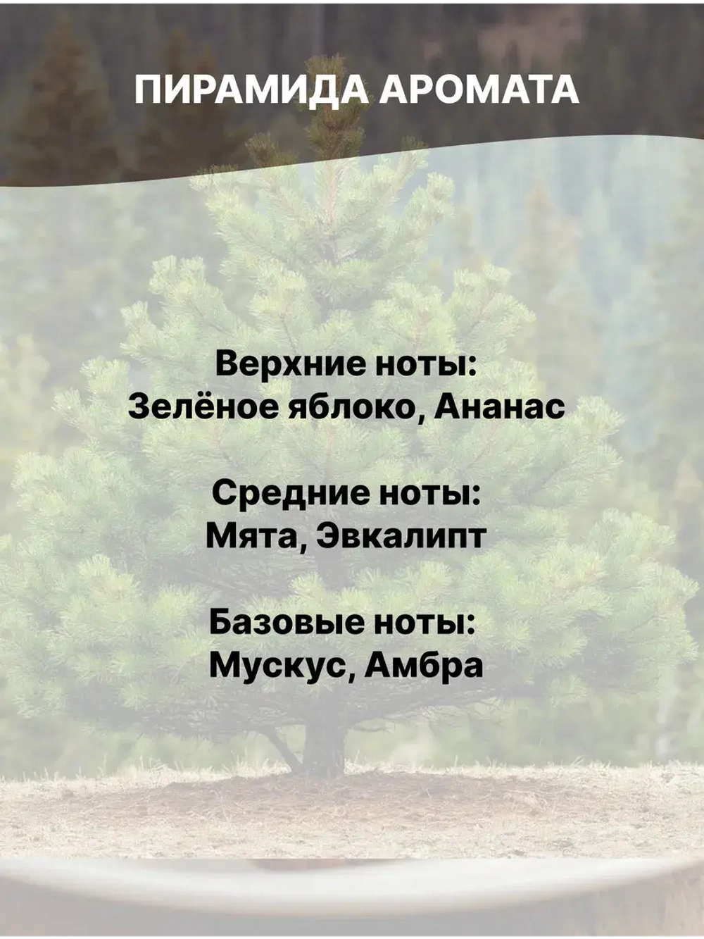 Отдушка Сосна 50 гр