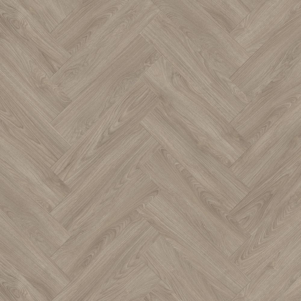 Laurel Oak 51937