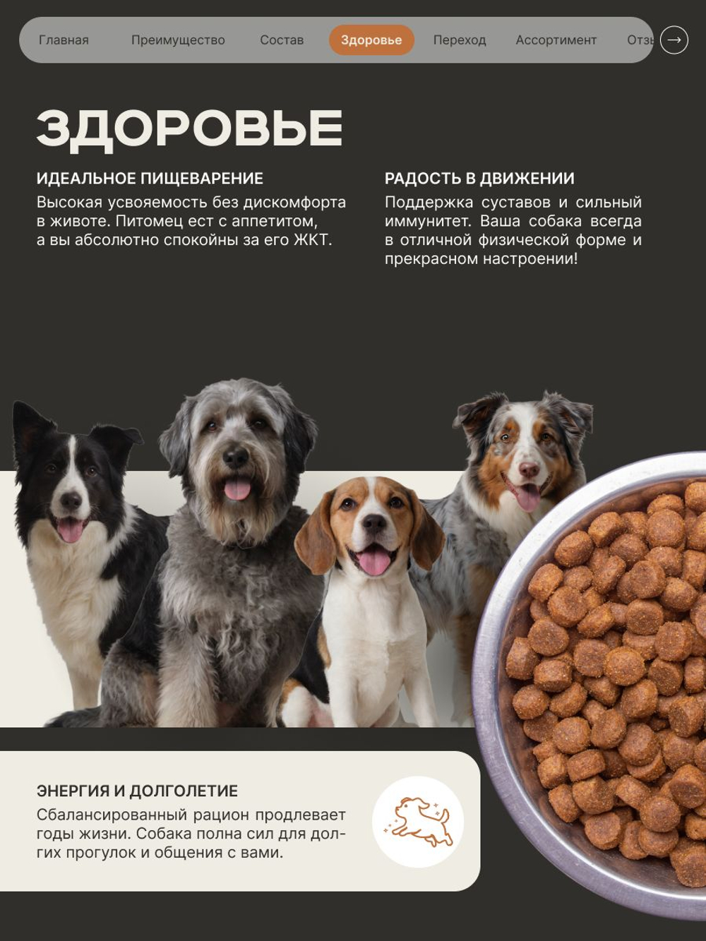 Корм сухой для пожилых собак породы Немецкая овчарка старше 5 лет, с индейкой, 3 кг, QUATTRO