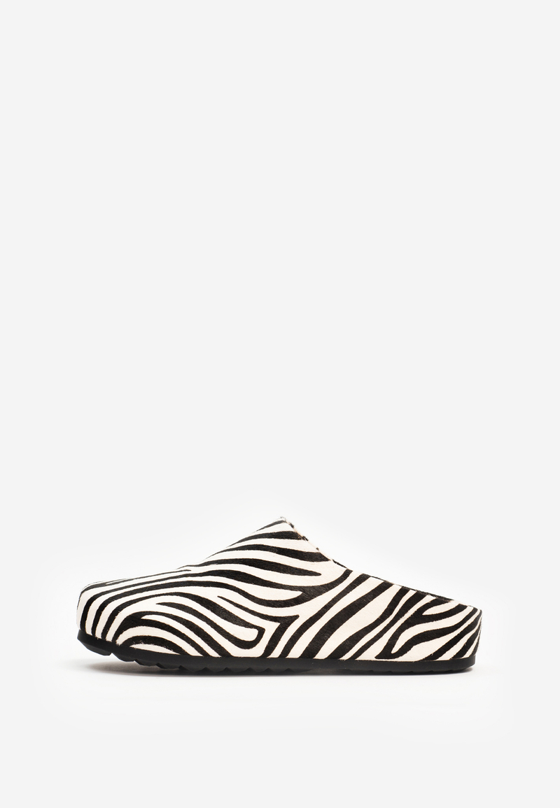 mule zebra noire