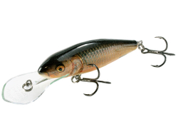 Воблер плавающий Salmo PERCH DR 08/RR