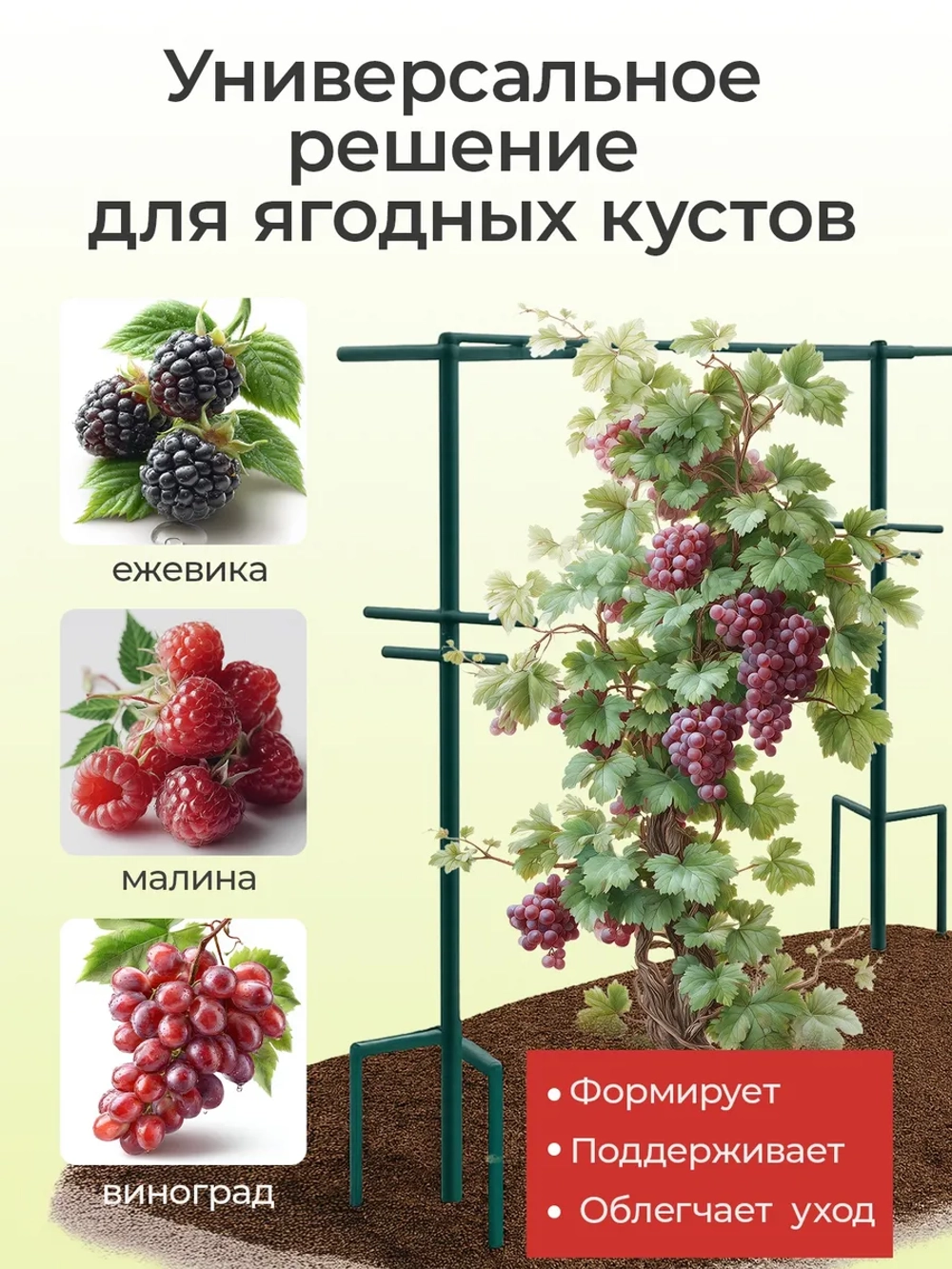 Шпалера садовая для малины и винограда