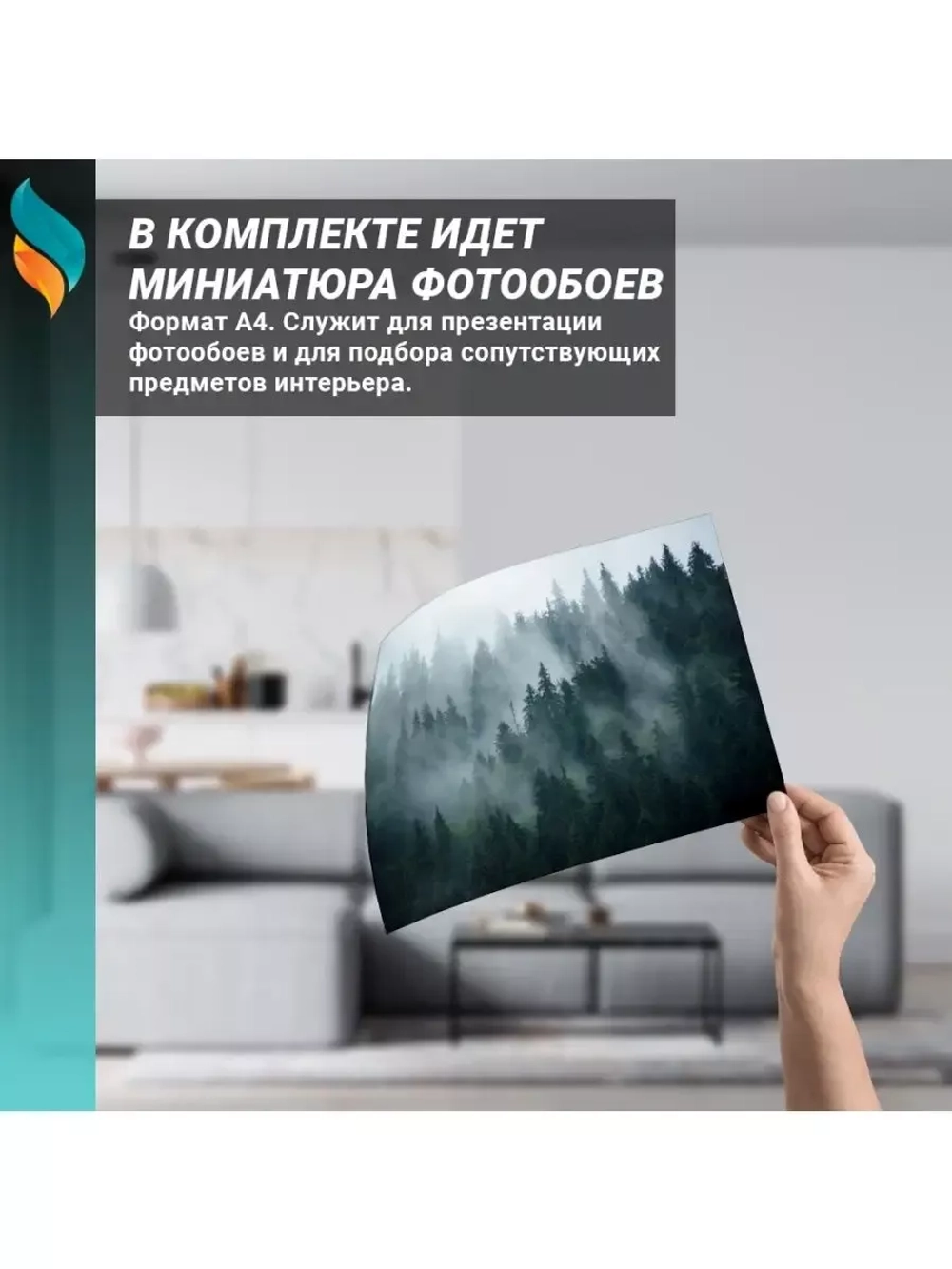 Фотообои на стену Туманный лес 400x270см
