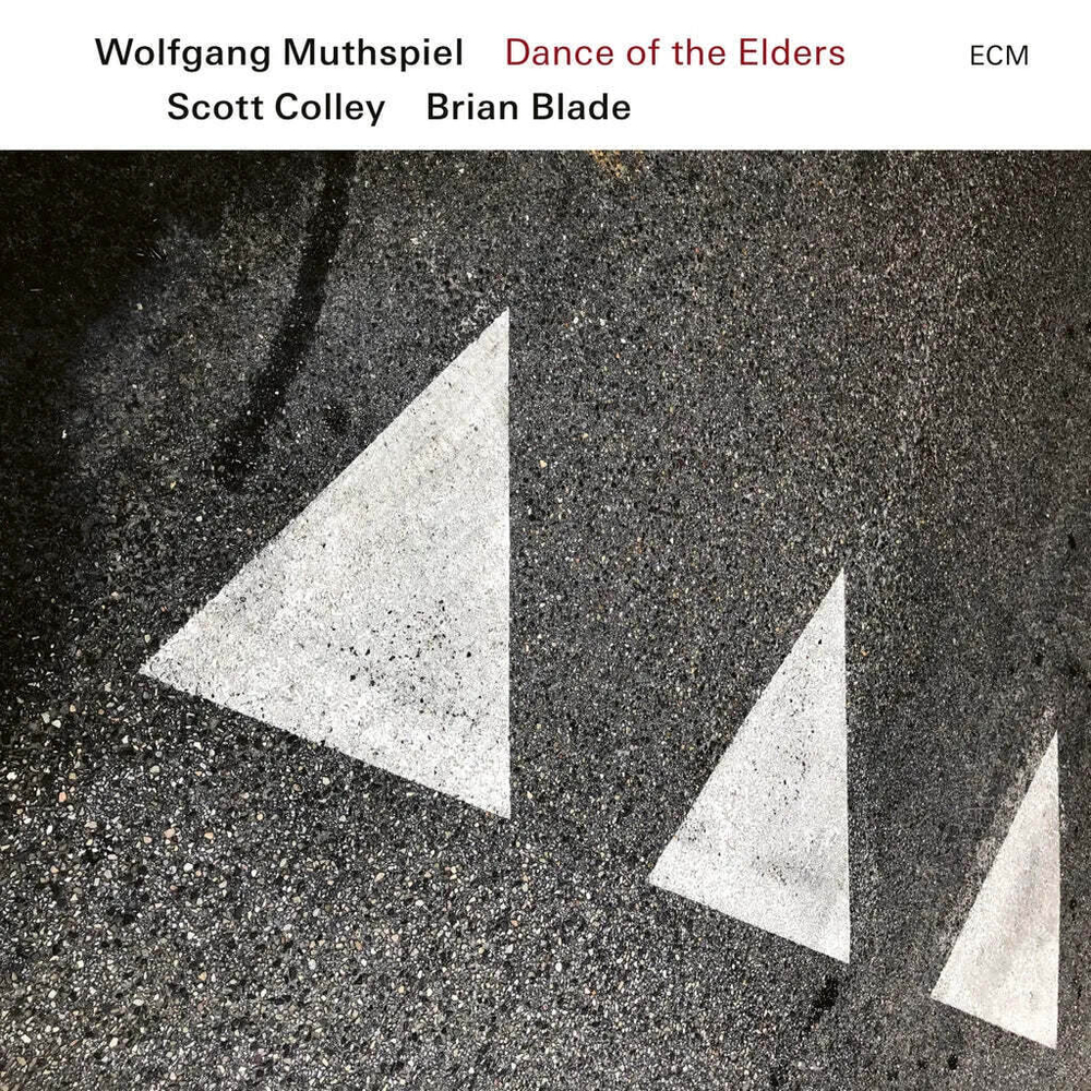 Wolfgang Muthspiel, Scott Colley, Brian Blade - Dance Of The Elders