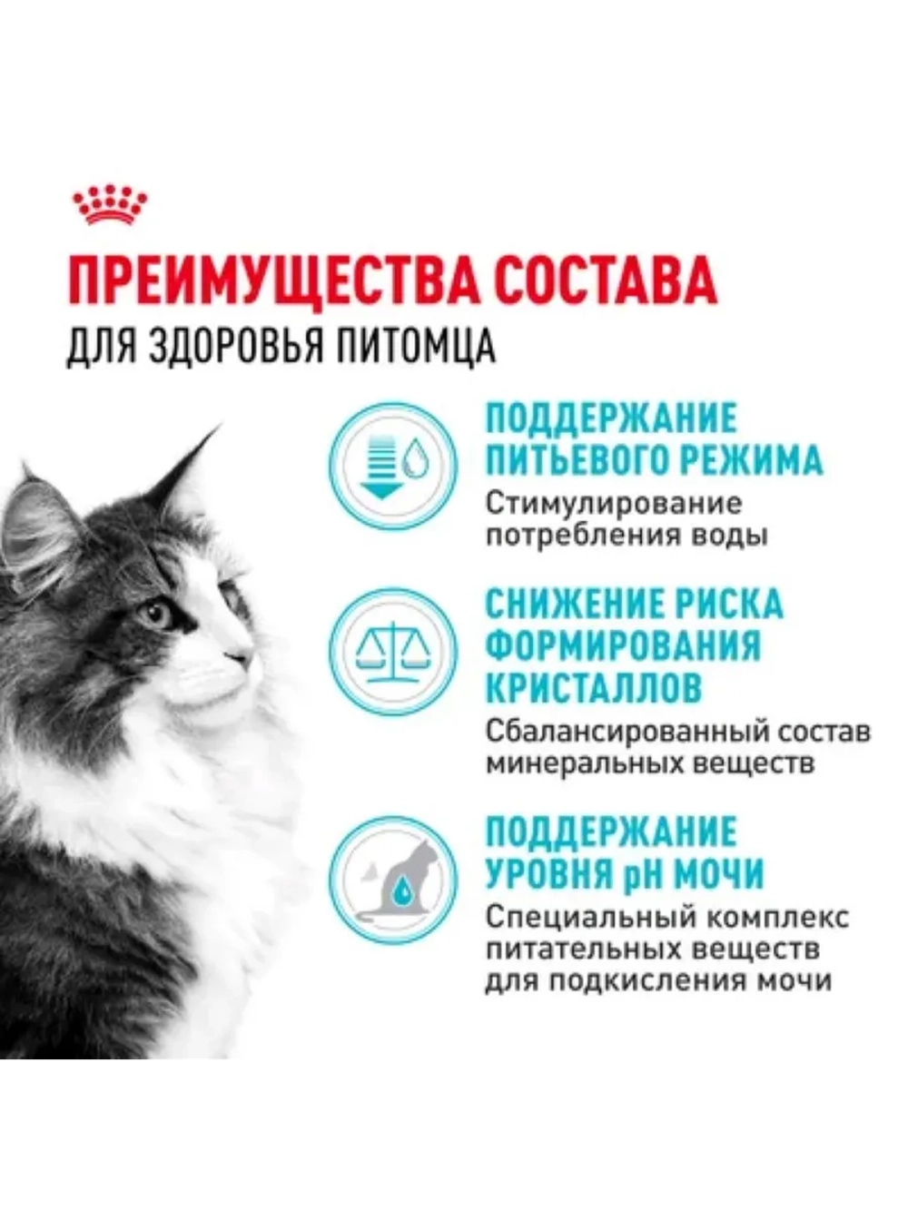 Urinary Care Корм для кошек профилактика МКБ 400г