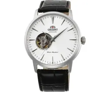 Наручные часы Orient TAG02005W0