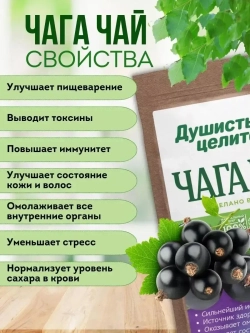 Чага чай со смородиной 200 грамм