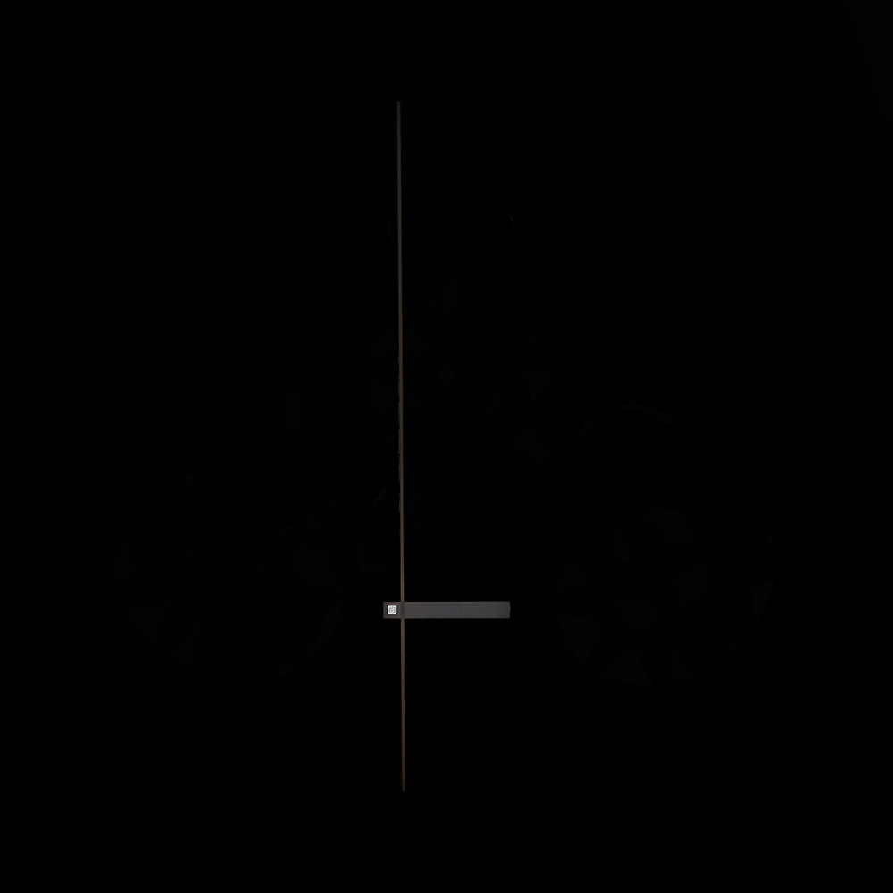 Светильник настенный ST Luce SL1589.411.01