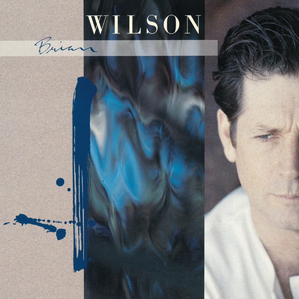 Brian Wilson / Brian Wilson (CD)