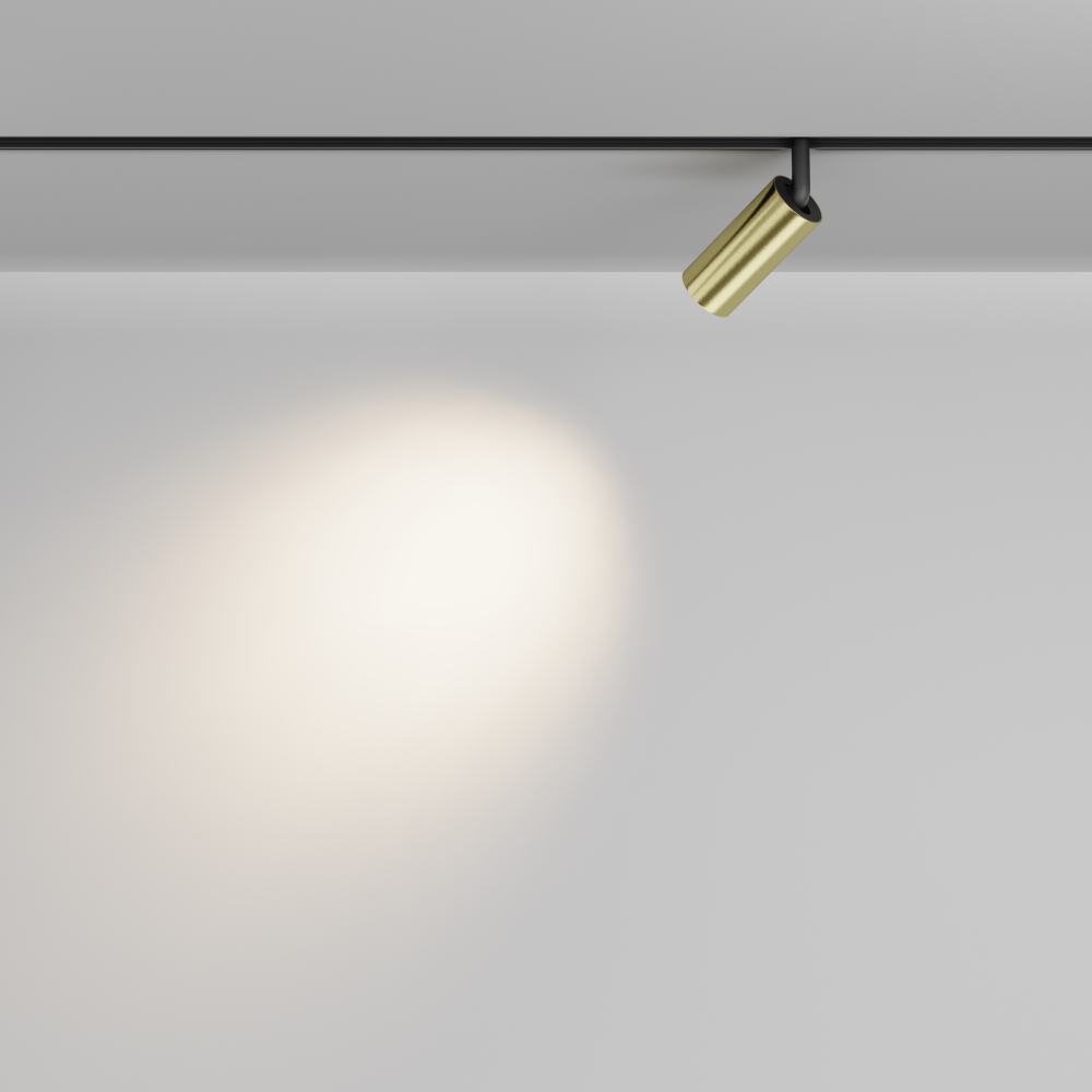Магнитный трековый светильник Maytoni Focus LED TR032-2-5W3K-M-BBS
