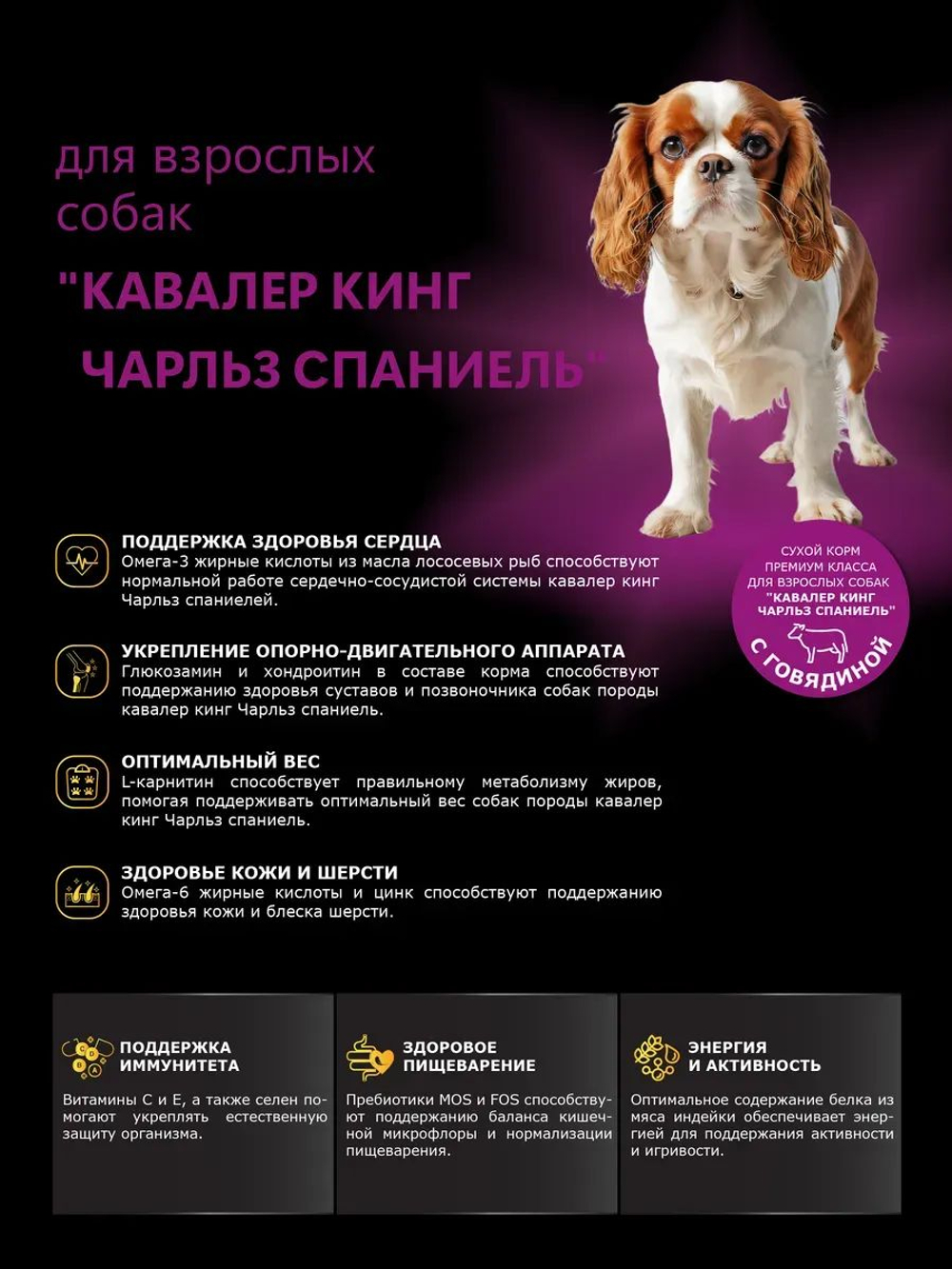 Корм сухой для взрослых собак породы Кавалер кинг Чарльз спаниель, с говядиной, 12 кг, QUATTRO