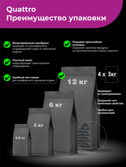 Quattro корм для щенков породы Ши-тцу, с говядиной, 6 кг, QUATTRO