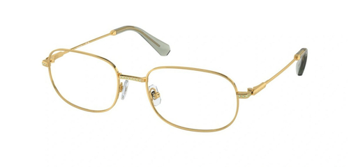 Swarovski 1005