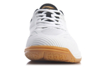 Li Ning Blade, Professional Table Tennis Shoes Unisex Low top