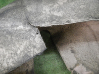 DSCN2591.JPG