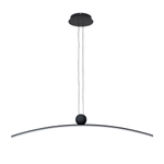 Подвесной светодиодный светильник Arte Lamp ARNO A3362SP-25BK