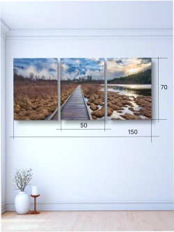 Картина Тайна болотной тропы модульная 50x70см 3шт.