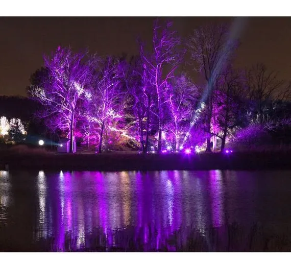 Elation SIXPAR Z19 IP прожектор LED PAR
