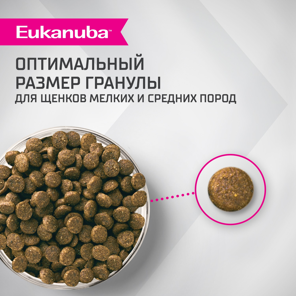Сухой корм Eukanuba Puppy для щенков мелких и средних пород до 12 месяцев с ягненком 800 г