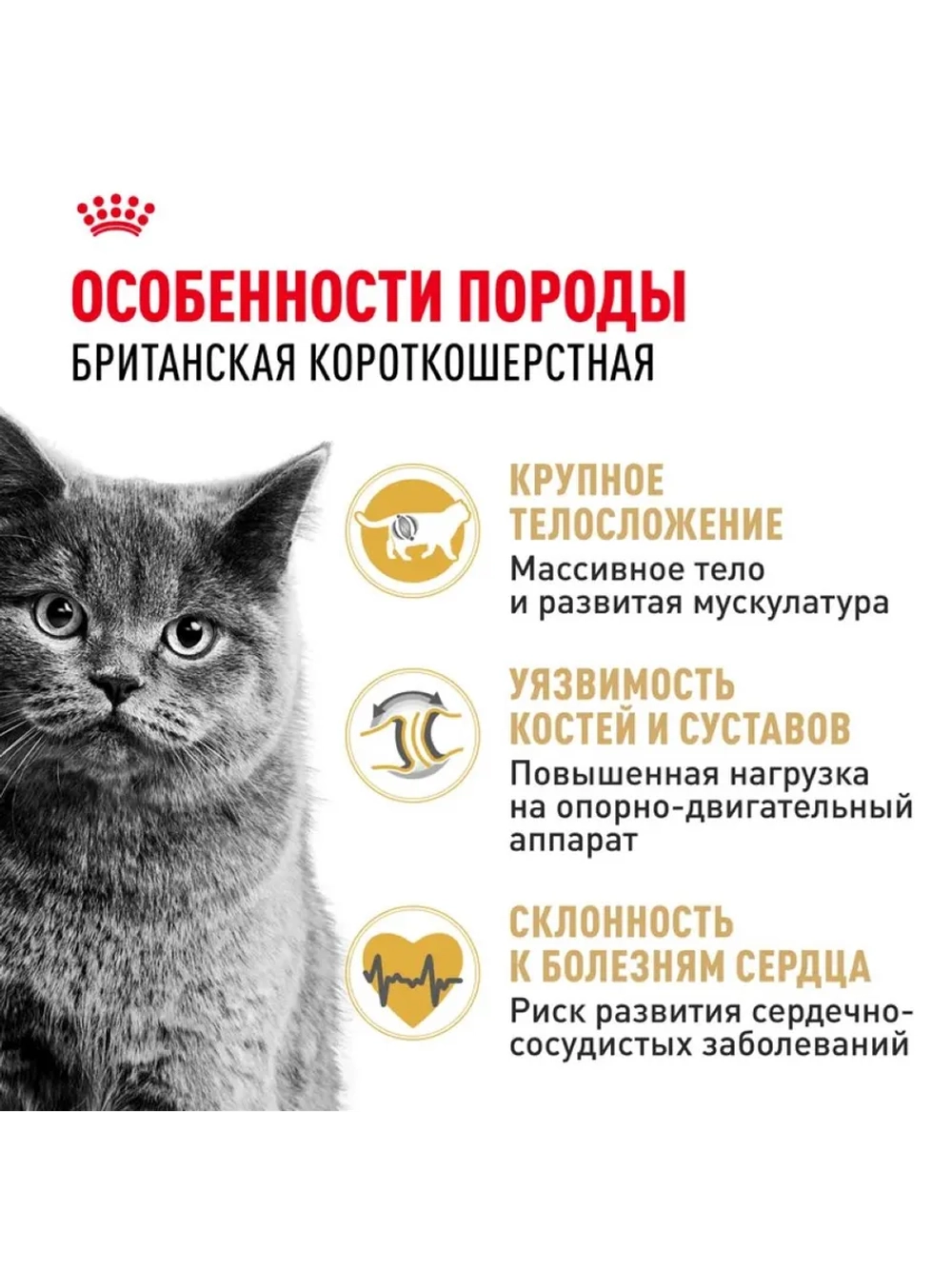 British Shorthair Корм для кошек 2кг