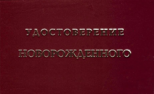 Шуточное удостоверение Новорожденного