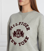 Худи MDN REG VARSITY FLOCK Tommy Hilfiger - серый(WW0WW39805)