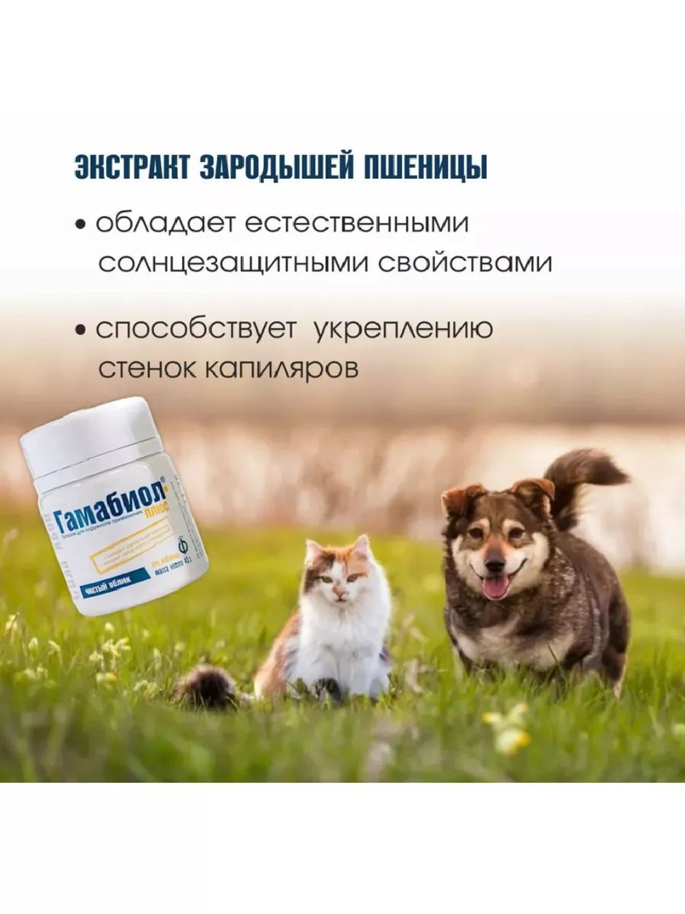 Гамабиол Плюс бальзам для ухода за кожей, против трещин и дерматитов, 40 г