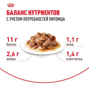 Пауч Royal Canin Instinctive +7 для кошек в возрасте старше 7 лет, мелкие кусочки в соусе