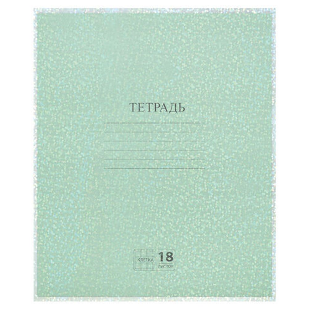 Обложки с ГОЛОГРАММОЙ для тетрадей и дневников, КОМПЛЕКТ 5 шт., ПЛОТНЫЕ, 100 мкм, 210x350 мм, FUNSTER (ФАНСТЕР), 274089