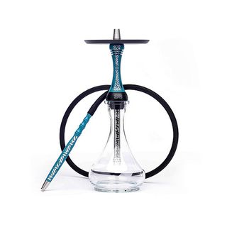 Купить Кальян Alpha Hookah Model X Artist Collection - Florida