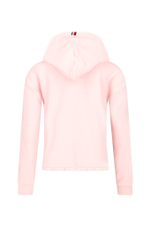 Худые Tommy Hilfiger - пудро-розовый(KG0KG07721)