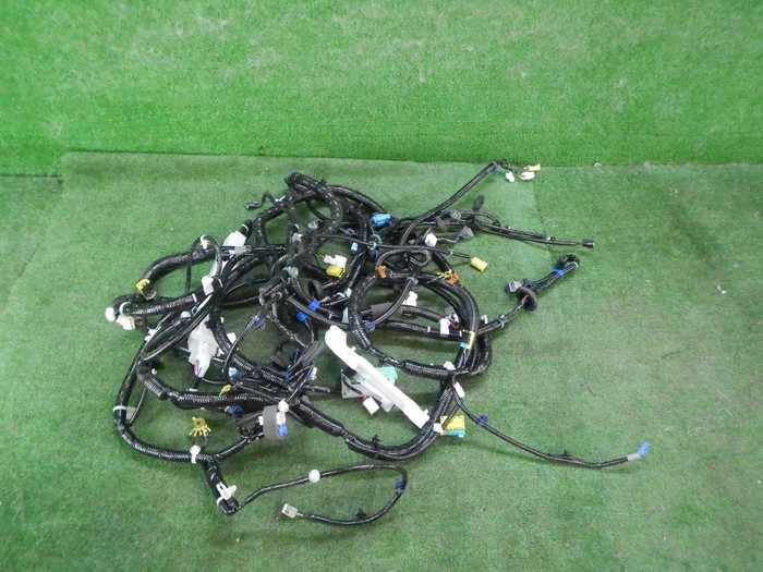 DSCN3729.JPG